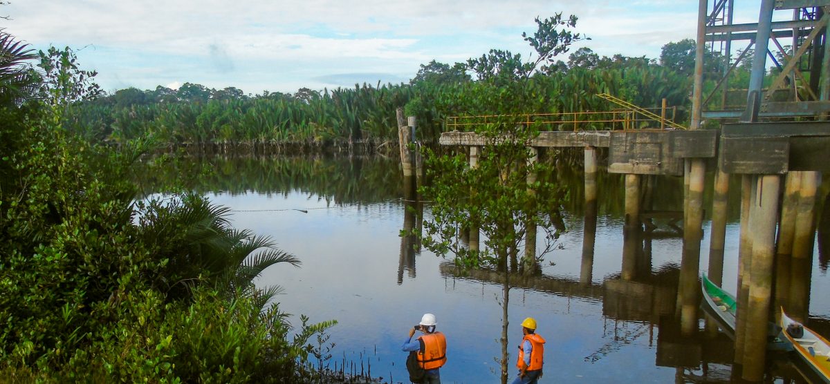 Penyusunan AMDAL Penambangan Batubara dan Operasional Terminal Khusus PT Mandiri Inti Perkasa