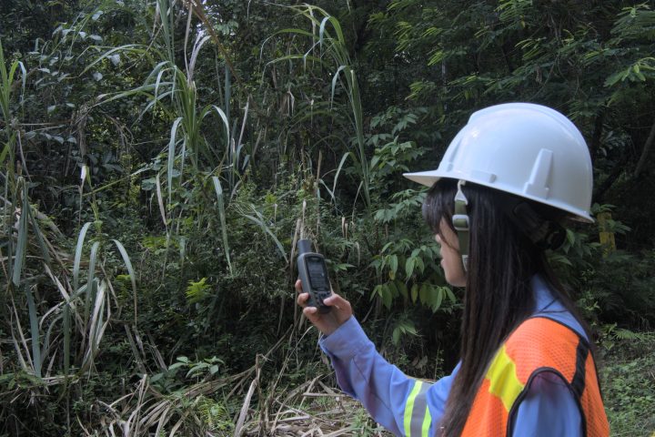 Techno-Economic Study Revision PT Vale Indonesia Tbk. (Soroako)